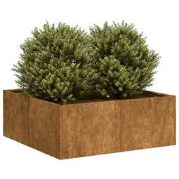 Plantenbak roestig 80x80x30 cm weervast staal