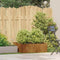 Plantenbak roestig 80x80x30 cm weervast staal