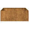 Plantenbak roestig 80x80x30 cm weervast staal