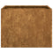 Plantenbak roestig 40x40x30 cm weervast staal