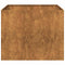 Plantenbak roestig 100x100x80 cm weervast staal