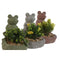 Decoratieve plant Home ESPRIT Polyethyleen Cement Kikker 9 x 9 x 13 cm (3 Stuks)