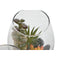 Decoratieve plant Home ESPRIT PVC Kristal 10 x 10 x 15 cm (2 Stuks)
