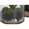 Decoratieve plant Home ESPRIT PVC Kristal 15 x 15 x 20 cm (2 Stuks)