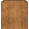 Plantenbak roestig 80x80x80 cm weervast staal