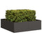Plantenbak 100x100x30 cm staal zwart