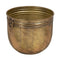 Grondlegger Gouden Ijzer (3 Stuks)