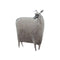Schilderij Schaap 90 x 3,5 x 120 cm