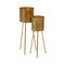 Plantenbakkenset Gouden Ijzer 28 x 24 x 71,5 cm