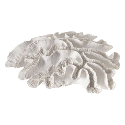 Decoratieve figuren Wit Koraal