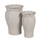Grondlegger Ijzer (2 Stuks)