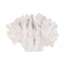 Decoratieve figuren Wit Koraal