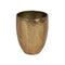 Grondlegger Gouden Ijzer (3 Stuks)