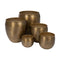 Plantenbakkenset Gouden Aluminium 48,9 x 48,9 x 48,9 cm (5 Stuks)