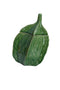 Light&living Deco box 21x20,5x31 cm SABARA glans groen