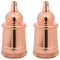 Lamphouders 2 st rosgoud E27