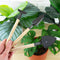 Gift Republic Plant Parent Care Kit