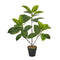 Decoratieve plant Polyethyleen Plastic Vijgen 40 x 40 x 75 cm