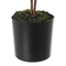 Decoratieve plant Plastic 18 x 18 x 64 cm
