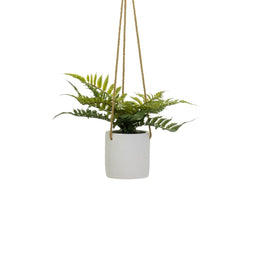 Decoratieve plant Polyethyleen Cement 30 x 30 x 24 cm