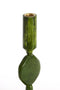 Light&living Kandelaar Ø10x25 cm KUMOPA groen