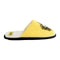 Slippers Voor in Huis Harry Potter Geel Schoenmaat 42-43