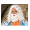 Pruik met Baard C/P. PELUCA REY MAGO BLANCO 39891 Tovenaar Koning Wit