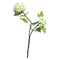 Nova nature - Viburnum Roseum x2 cream 50 cm kunstbloem