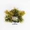 Warentuin natuurlijk - Pinus mugo carstens wintergold 20-25 cm