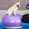 FitPAWS Dierenbalansbal TRAX Donut 55 cm paars
