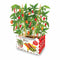 Kweekset Batlle Pepers Pikant 30 x 19,5 x 16,2 cm