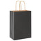 Papieren kraftzakken 50 st met hengsels 15x8x21 cm zwart