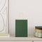 Papieren kraftzakken 50 st met hengsels 15x8x21 cm groen