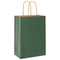 Papieren kraftzakken 50 st met hengsels 15x8x21 cm groen