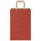 Papieren kraftzakken 50 st met hengsels 21x11x31 cm rood