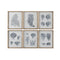 Schilderij Home ESPRIT Grijs Mediterrane 50 x 3 x 60 cm (6 Stuks)