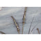 Schilderij Home ESPRIT 140 x 3 x 70 cm (2 Stuks)