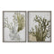 Schilderij Home ESPRIT Groen Koraal Mediterrane 45 x 2 x 60 cm (2 Stuks)