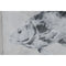 Schilderij Home ESPRIT Grijs Vis (4 Stuks)