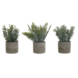 Decoratieve plant Home ESPRIT Polyethyleen Cement 13 x 13 x 24 cm (3 Stuks)