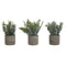 Decoratieve plant Home ESPRIT Polyethyleen Cement 13 x 13 x 24 cm (3 Stuks)