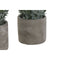 Decoratieve plant Home ESPRIT Polyethyleen Cement 13 x 13 x 24 cm (3 Stuks)