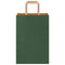 Papieren kraftzakken 250 st met hengsels 21x11x31 cm groen