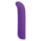 G-spot Vibrator NMC Paars 12,7 cm