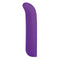 G-spot Vibrator NMC Paars 12,7 cm