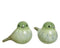 Decoris - Vogel terra l6.5b10.5h7cm groen a2 Decoris