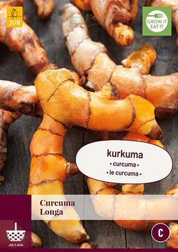Jub - Curcuma Longa