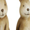 Countryfield - Haas Kevin 7.2x6.5x10.6 cm bruin a2