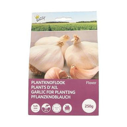 Buzzy - Plantknoflook Flavor 250 gram
