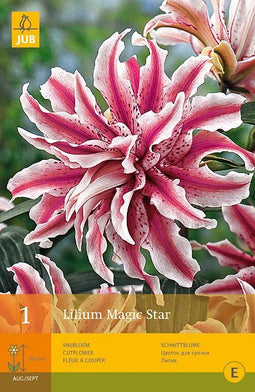 2 stuks - Jub - 1 Lelie Magic Star